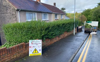 Hedge Removal in Baglan