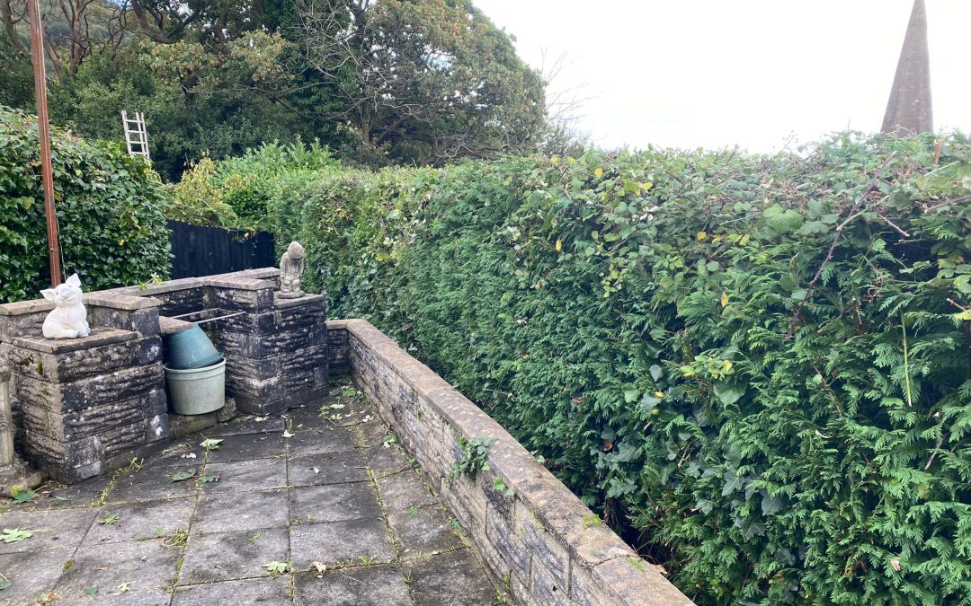 Hedge Cutting in Baglan