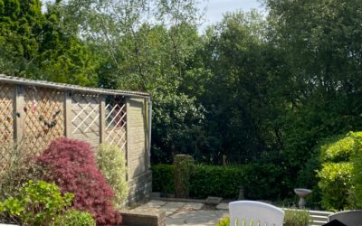 Tree removal in Morriston