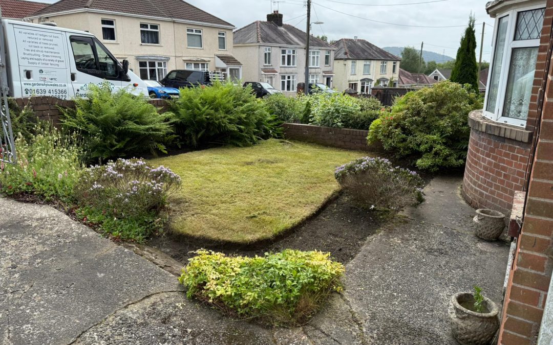 Garden clean up Skewen