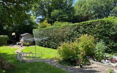 Hedge pruning in Sketty, Swansea