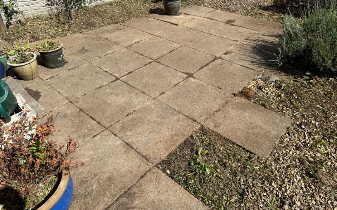 Autumn garden tidy up in North Connelly