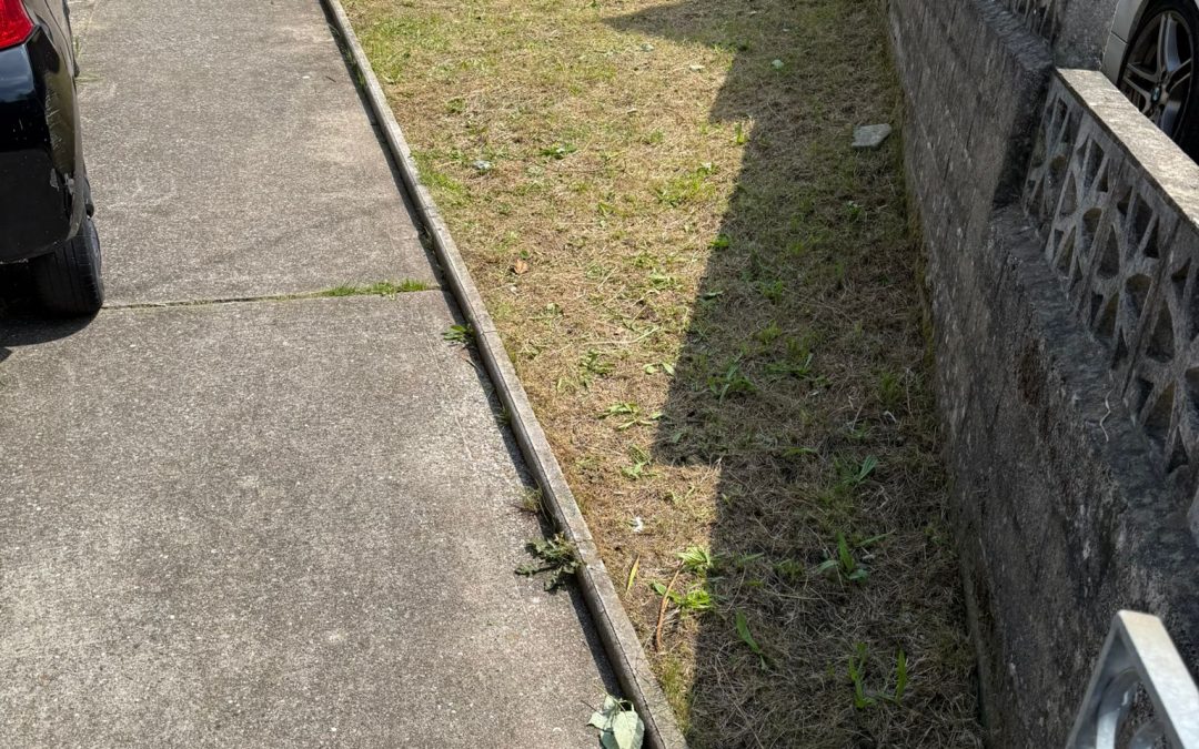 Large Garden Clearance in Baglan