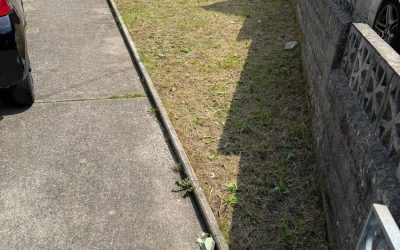 Large Garden Clearance in Baglan