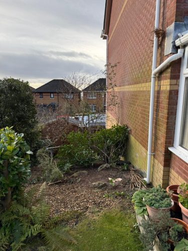 WhatsApp Image 2026-01-08 at 4.40.41 PM